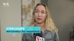 Надежда на Надеждина: россияне, уехавшие в США, объясняют, почему оставляют подписи за антивоенного кандидата 