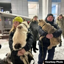 Волонтеры вывозят собак из Улан-Удэ, декабрь 2023 года. Фото: фонд "Собака Счастья"