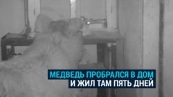 Медведь залез в дом егеря и устроил там погром, а егерь этому только рад