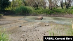 Обмелевший водоем в парке Вэкэрешть