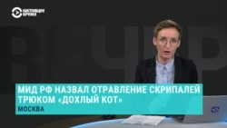 Год с отравления в Солсбери: версии, подозреваемые и последствия