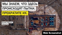 Открытка Amnesty International